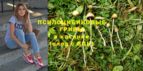 мяу мяу мука Балахна